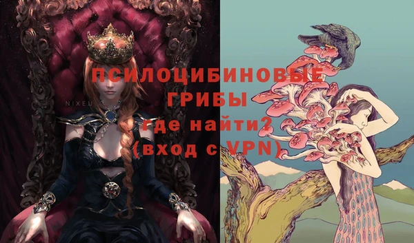 ГАЛЛЮЦИНОГЕННЫЕ ГРИБЫ Кулебаки