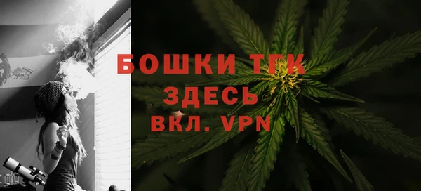 ГАЛЛЮЦИНОГЕННЫЕ ГРИБЫ Кулебаки