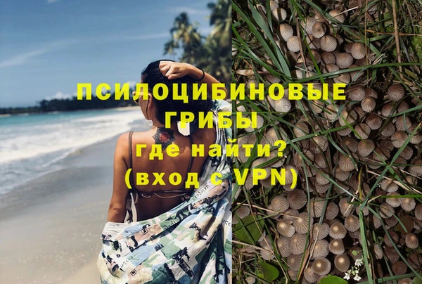 ГАЛЛЮЦИНОГЕННЫЕ ГРИБЫ Кулебаки