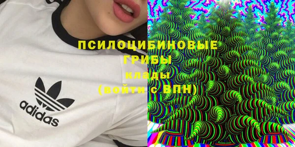 ГАЛЛЮЦИНОГЕННЫЕ ГРИБЫ Кулебаки