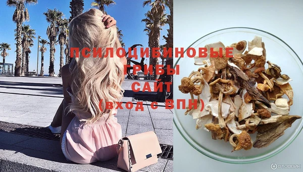 ГАЛЛЮЦИНОГЕННЫЕ ГРИБЫ Кулебаки