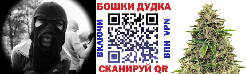 Купить закладки  Барабинск  Канабис план 